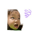 492303885