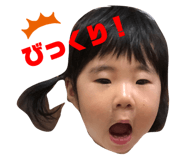 492304494
