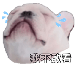 492305695
