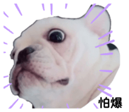 492305696