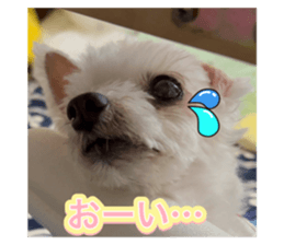 492306935