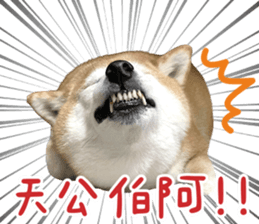 492307971