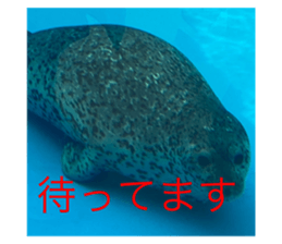 492314045