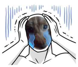492316346