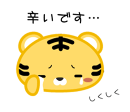 492337567