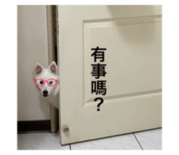 492382660