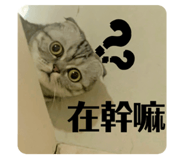 492402327