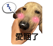 492402358