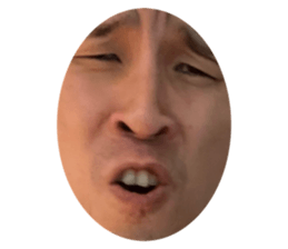 492404582