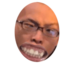 492404584