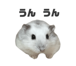 492417992