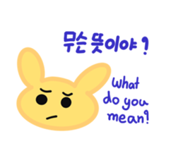 492443754