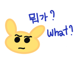 492443761