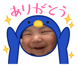 492453425