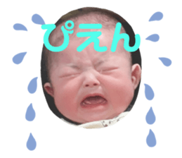 492456800