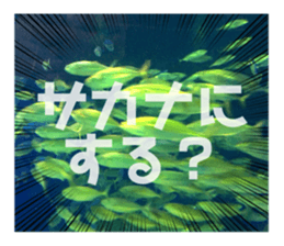 492479014