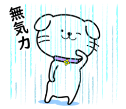 492529202