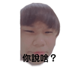 492535194