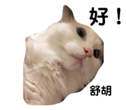 492705536