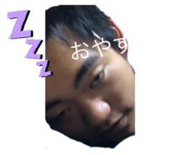 492713065