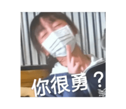 492716450