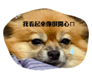 492729368