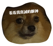 492729371