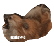 492729372