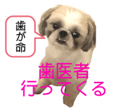 492756585