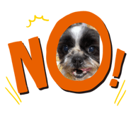 492756601