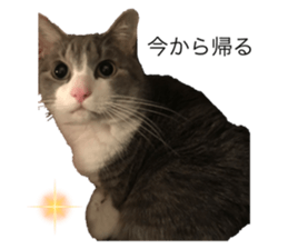492817182