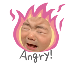 492817558