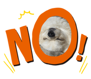 492817590