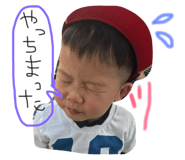 49282963