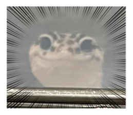 492833724