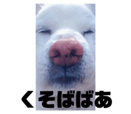 492835925