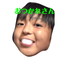 492843541