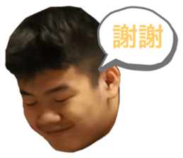 492855917