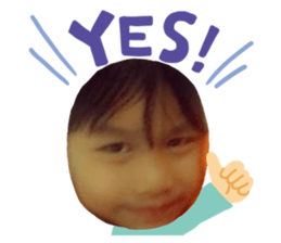 492864481