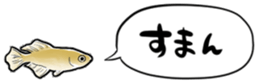 492868612