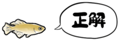 492868616