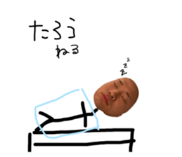 492869647
