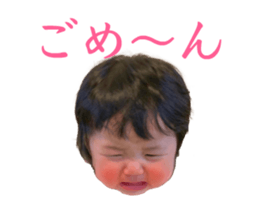 492870311
