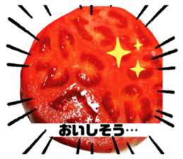 492873199