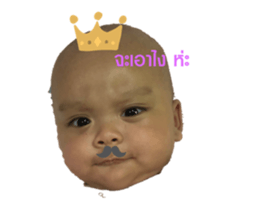 492887377