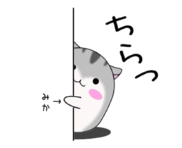 492940670