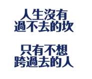 492952556