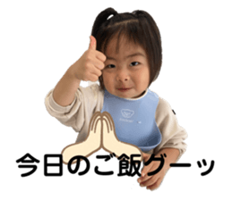 492954091