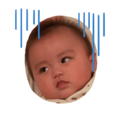492954238