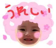 492954248